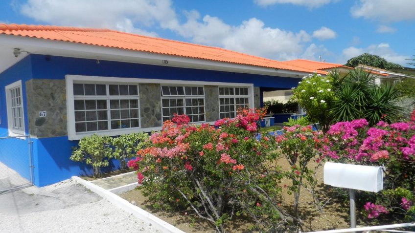 Elmesstraat - Stage Curacao