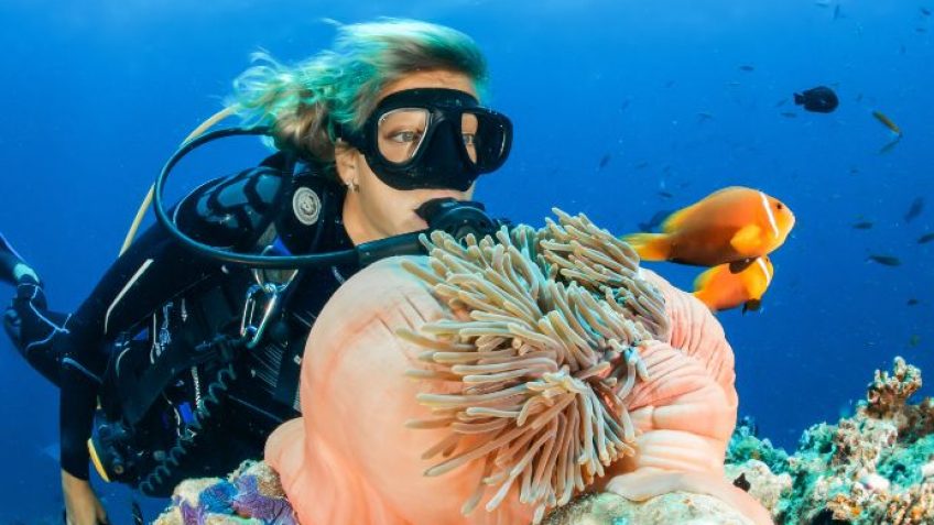 Duikschool stage - Een Stage Op Curacao