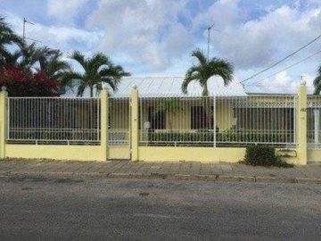 Nijmegenstraat 102 - een stage op curacao